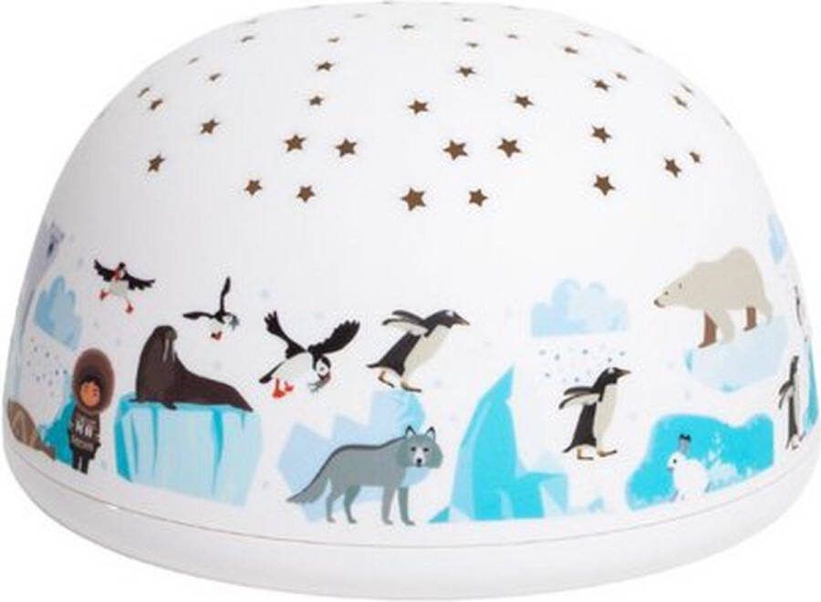 Olala boutique Polar Nachtlampje Muziek 4 Kleuren 5 Melodieën Timer Batterijen