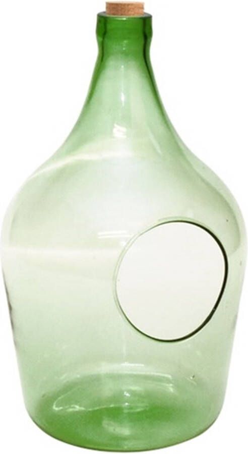 Esschert Design Open terrarium fles M 5L 19x19x33 cm groen