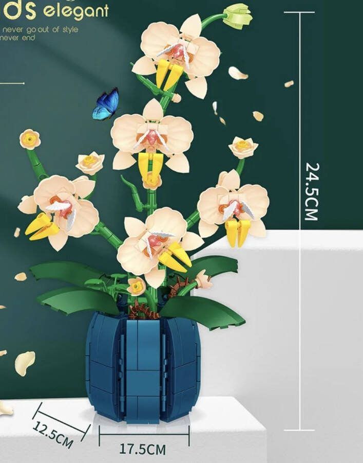 Orchidee bouwstenen