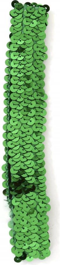 Pailletten haarband groen