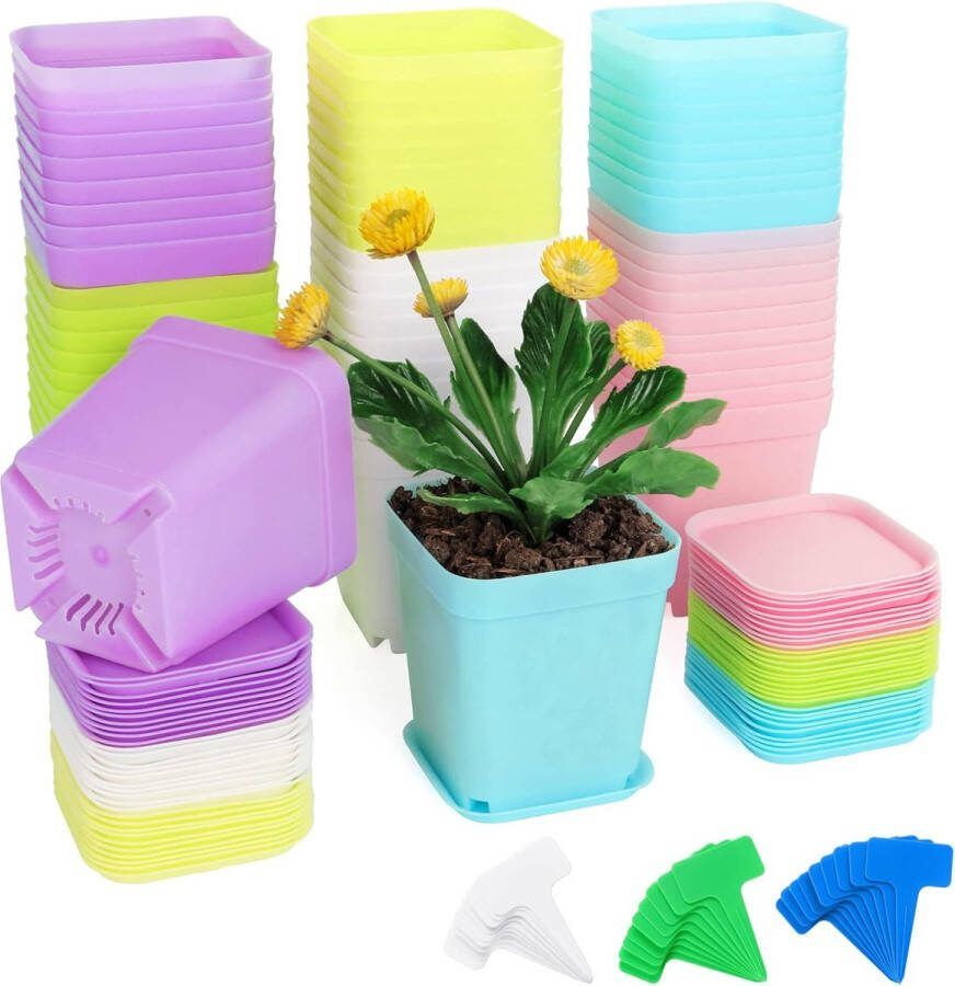 Pak van 60 plastic plantenpotten met schotels vierkante plastic kweekpotten van 7 cm met 60 plantenlabels plastic bloempotten voor tuin- kantoor- en balkondecoratie meerkleurig