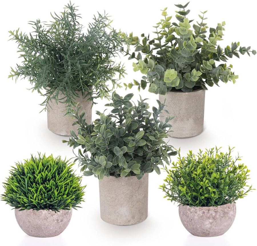 Pakket van 5 kunstplanten kleine kunstplanten echte eucalyptus rozemarijn gipskruid klein met potten tafeldecoratie huis balkon kantoordecoratie