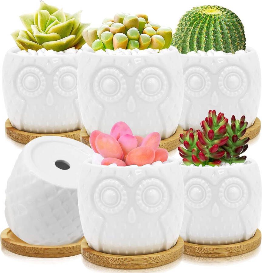 Pakket van 6 Mini Bloempotten met Onderschotel Mini Uil Keramische Vetplant Potten 8.5 cm Cactus Plant Potten voor Miniatuur Planten Vetplanten Mos Bonsai