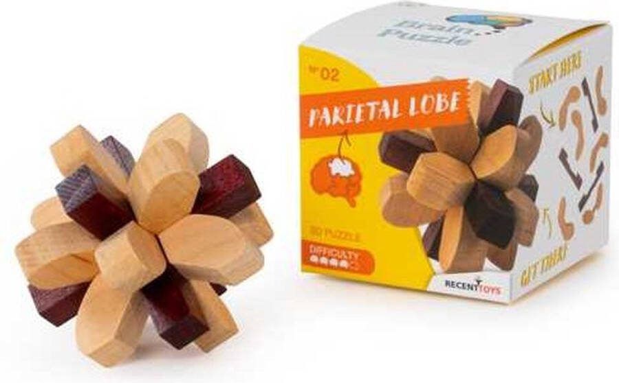 Parietal Lobe Breinbreker 2 Recent Toys