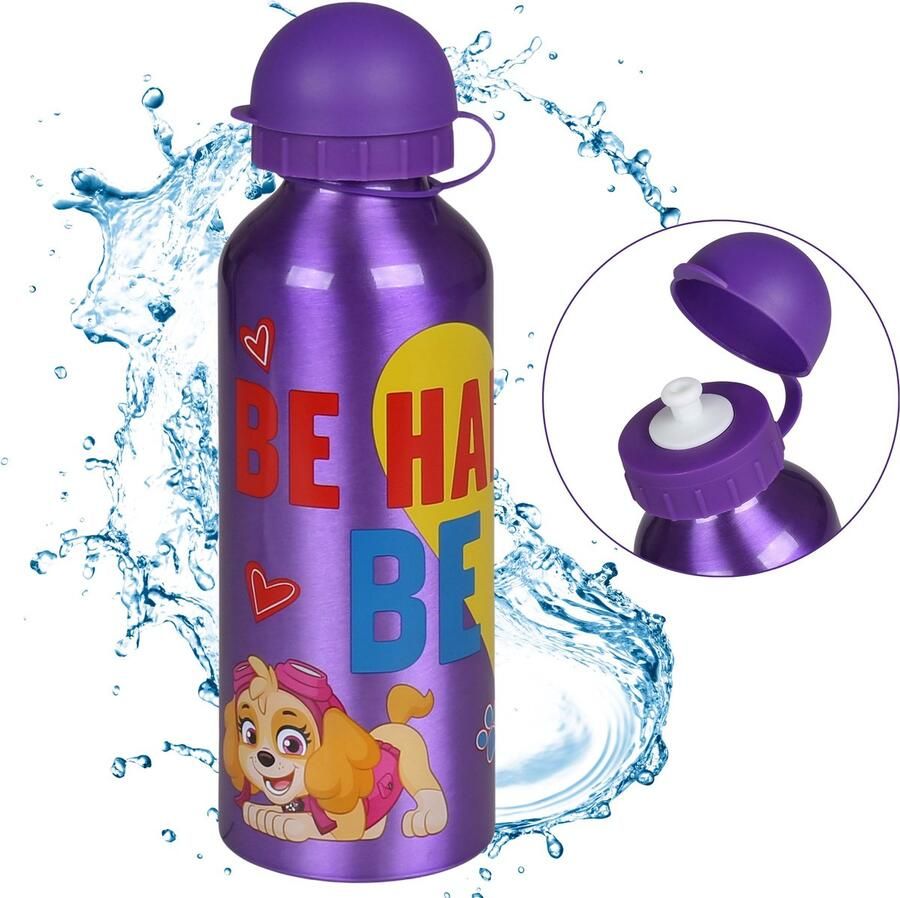 Paw Patrol Skye Marshall Rubble Aluminium Fles Paarse Waterfles 500ml