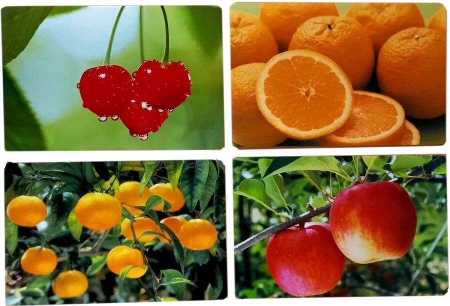 Placemats Natuur set van 12 stuks