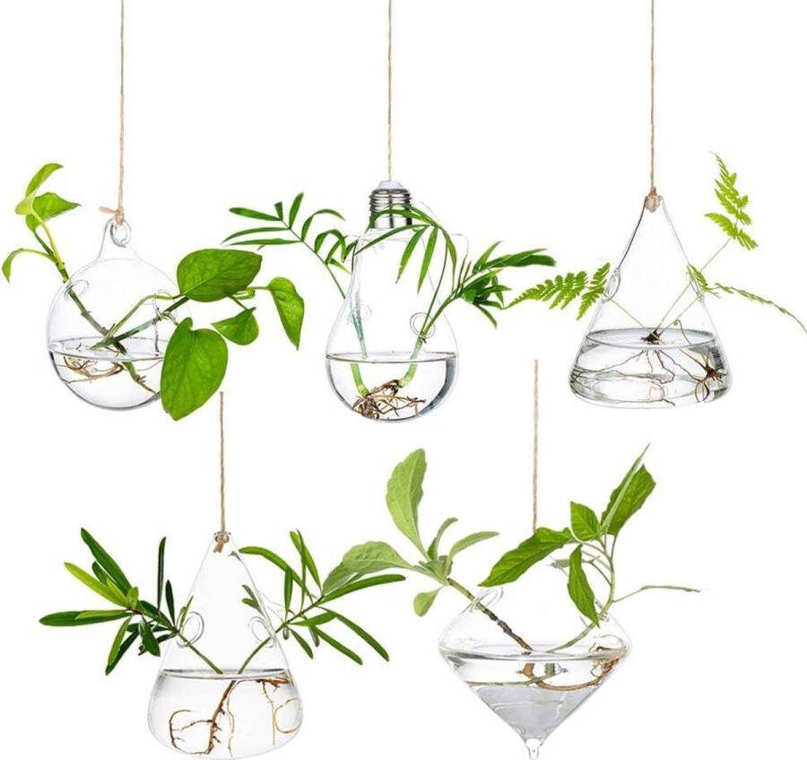 Plantenbak Bak voor planten Grote Hangende Water Luchtplant Succulente Containers Terrariumkits Kaarshouder Binnen Buiten 2 Gaten 5 Stuks-Set met Snaren Touw voor Huis Tuin Balkon