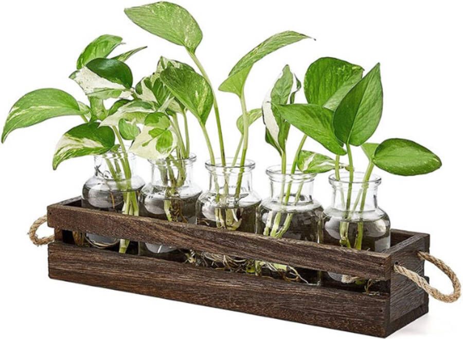Plantenbakken met houten standaard dubbellaags met 5 glazen flessen voor kamerplanten retro planten terrarium desktopvaas voor plantenliefhebbers hydrocultuur