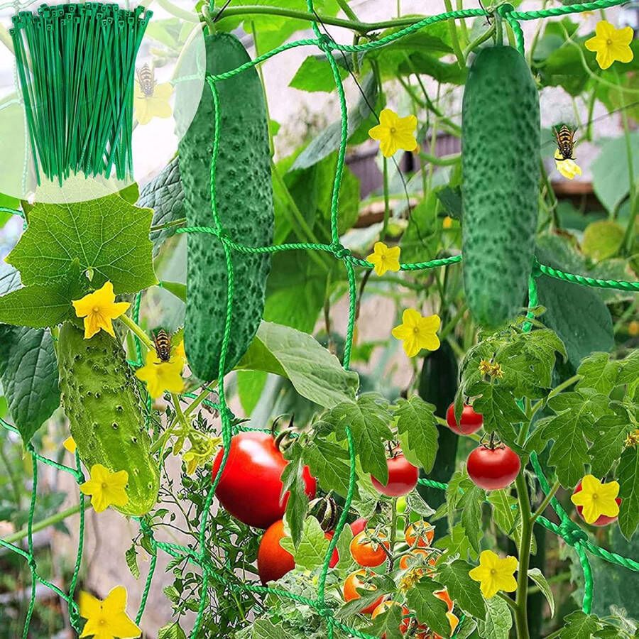 Plantenclips voor tomaten rozen komkommers en andere klimplanten Klimplantenrek (2*5m)