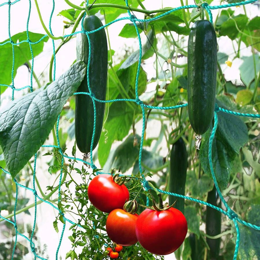 Plantenclips voor tomaten rozen komkommers en andere klimplanten Klimplantenrek (2m x 5m)