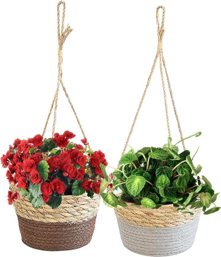 Plantenhanger hangend 2 stuks hangende bloempot binnenpot planten decoratie plafond balkon 20 cm