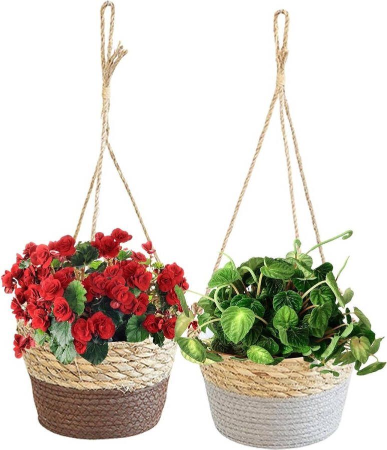 Plantenhanger Hangende Bloempot 2 stuks Binnenpot voor Hangende Planten Hangpot voor Bloempotten Binnen en Buiten Plafond Balkon Decoratie (20 cm)