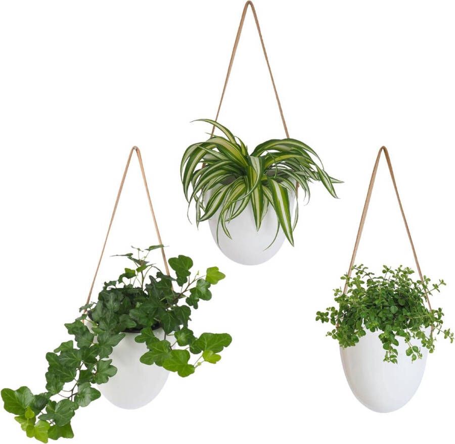 Plantenhanger Keramiek Set van 3 Hangpotten Hangende Bloempot Inclusief 3 Verschillende Koorden met Opbergtasje