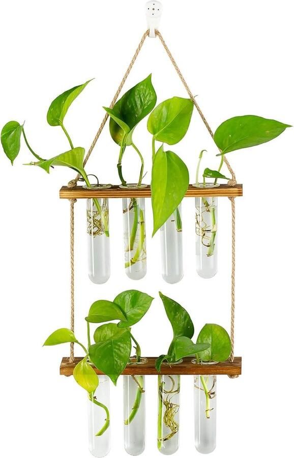 Plantenhanger Moderne Glazen Reageerbuisvazen ​​- Hangend Voortplantingsstation Voor Planten Muurplanter Binnen Bloemen Met Houten Rek Vintage Kamerdecor Thuiskantooraccessoires 8 Reageerbuizen