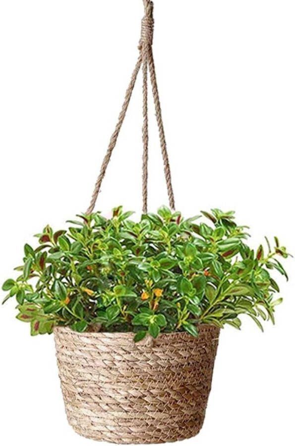 Plantenhanger Planthanger Hangende Bloempot Zeegras Handgeweven Hangende Plantenmand Met Hangend Touw Vetplanten Cactussen Kruiden Binnen en Buiten Natuurlijke Zeegras