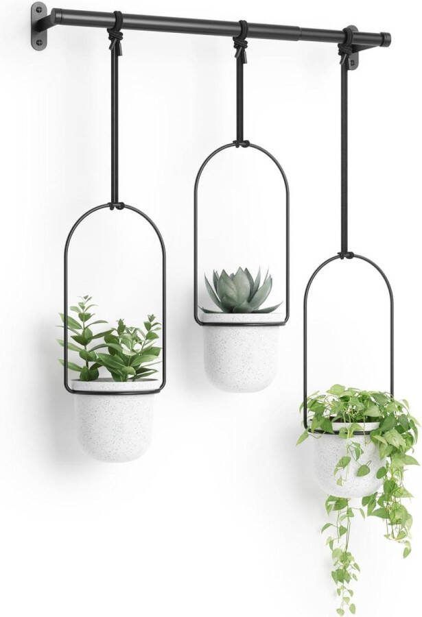 Plantenhanger Planthanger Hangende Bloempotten Triflora Wit