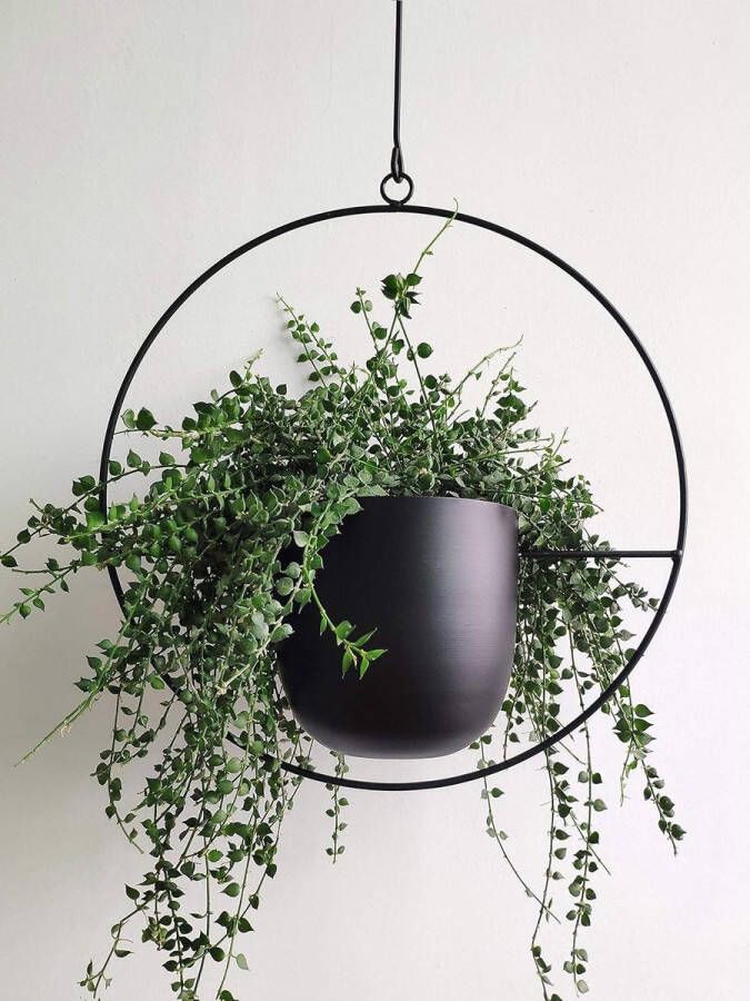 Plantenhanger Planthanger zwarte metalen wand- en plafondhangende plantenbak moderne plantenbak bloempot uit het midden van de eeuw minimalistische plantenbak voor binnen en buiten