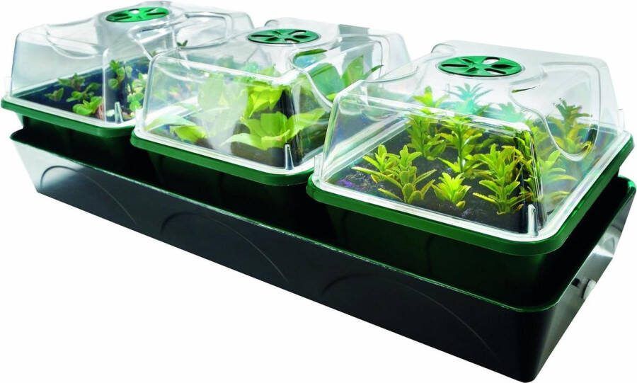 Plantenkweekset op vensterbank 3 aparte klimaatkamers Geïntegreerde verwarming Capillaire irrigatiemat 14 l waterreservoir 54 x 21 x 17 cm (b x d x h) Kweekbak