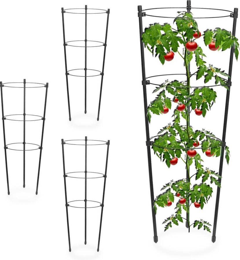 Plantensteun 45 cm hoog 3 verstelbare ringen voor klimplanten zwart set van 4 plantensteun halfronde