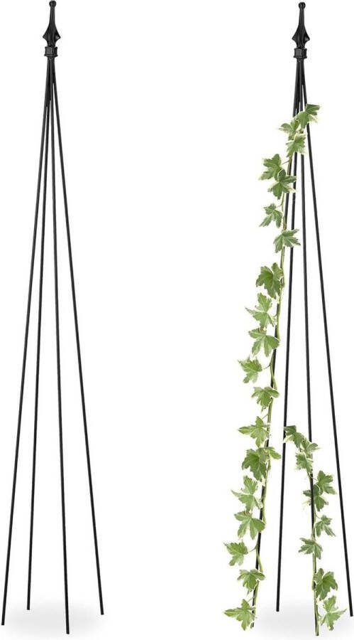 Plantensteun piramide set van 2 120x16x16 cm klimplanten rankhulp vrijstaand zwart metaal plantensteun halfronde