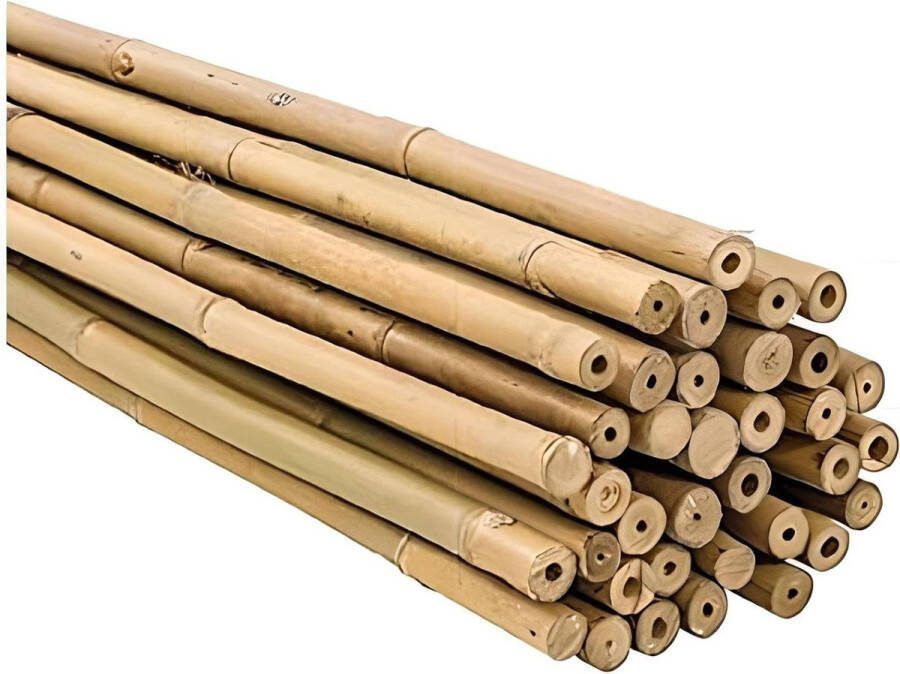 Plantensteunen met ringen Bamboe Klikgeleiders 60 cm Verpakking van 25 stuks Ø 6-8 mm Voor tomatenplanten Groenten en bomen Groot aantal maten Robuuste bamboebuizen plantensteunen met ringen