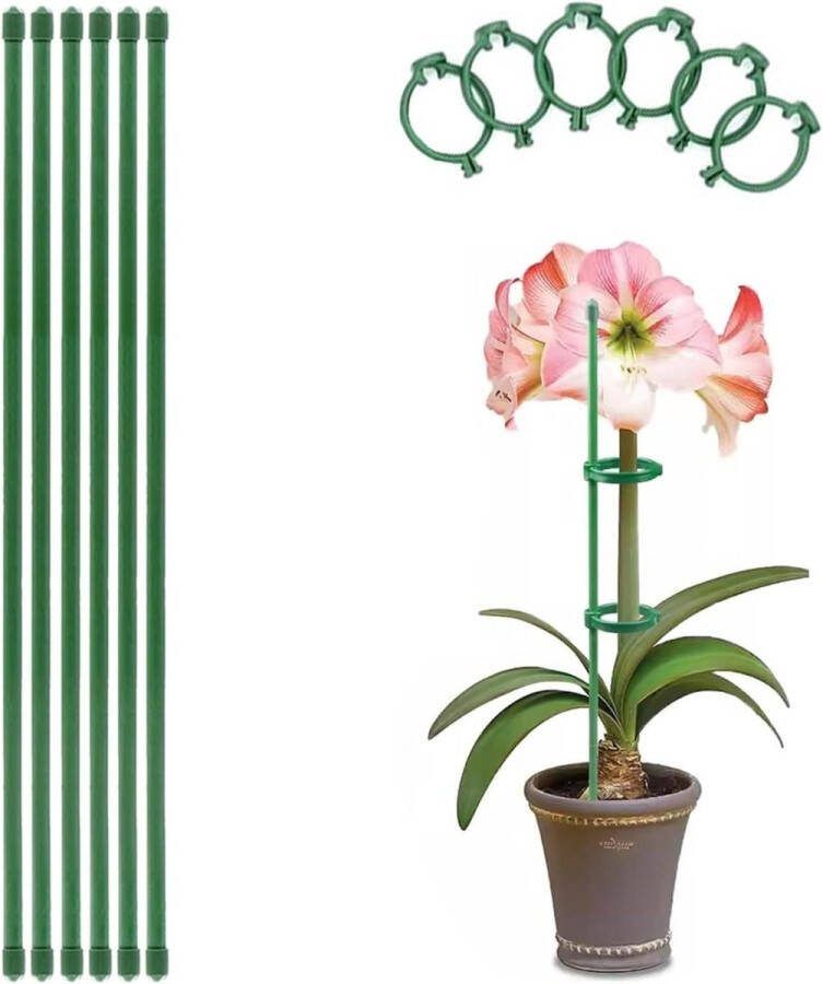 Plantensteunpalen 6 sets van glasvezel voor buitenplanten en kamerplanten pioenroos monstera tomaten plantensteun halfronde