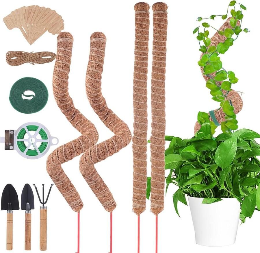 Plantenstok Monstera 4 stuks 70 cm Kunststof klimhulp voor klimplanten