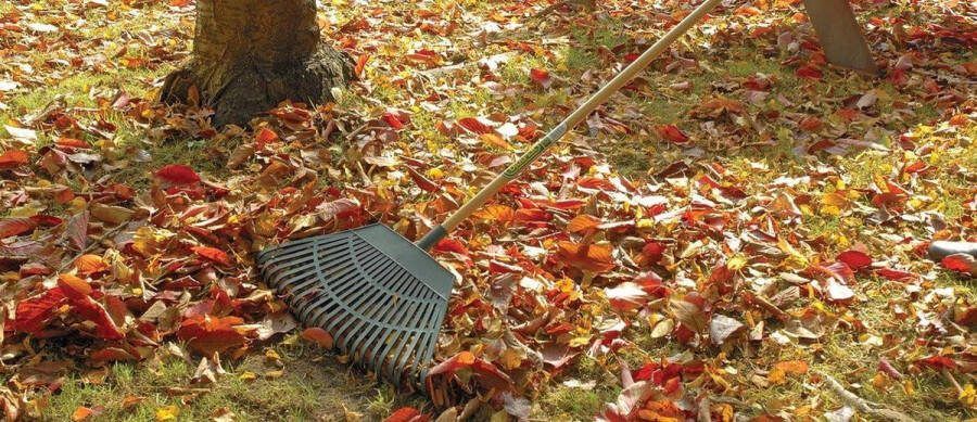 Plastic Blad Hark 550mm 23 Tanden Outdoor Tuin Handgereedschap Gelakt Natuurlijk Houten Handvat Gazon Leveling Leak Rake