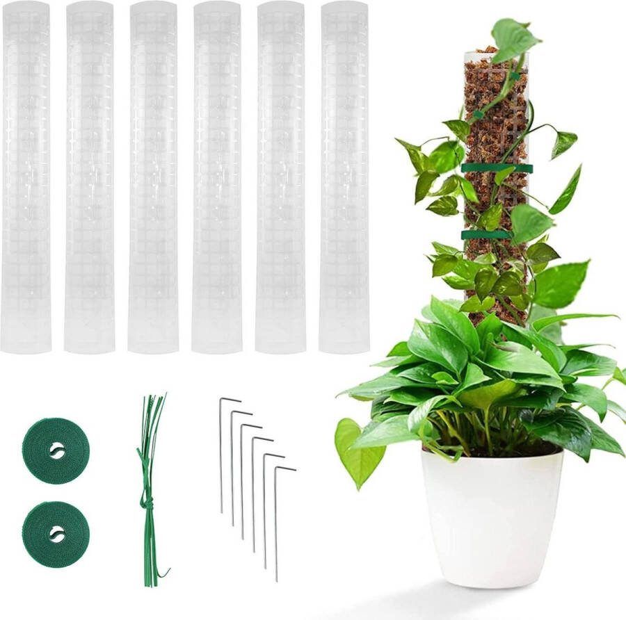 Plastic Moss Poles for Climbing Plants Monstera Philodendron Set of 6 61 cm plantensteun halfronde