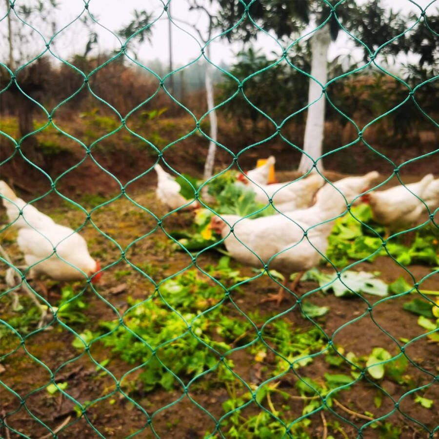 Pluimveennet kippennet zeer robuust volièreget van 36 draden met vaste knoop maas 5 cm gevogeltehek zonder stroom ter bescherming van roofvogels ideale aanvulling op het kippenhok 4 x 5 m