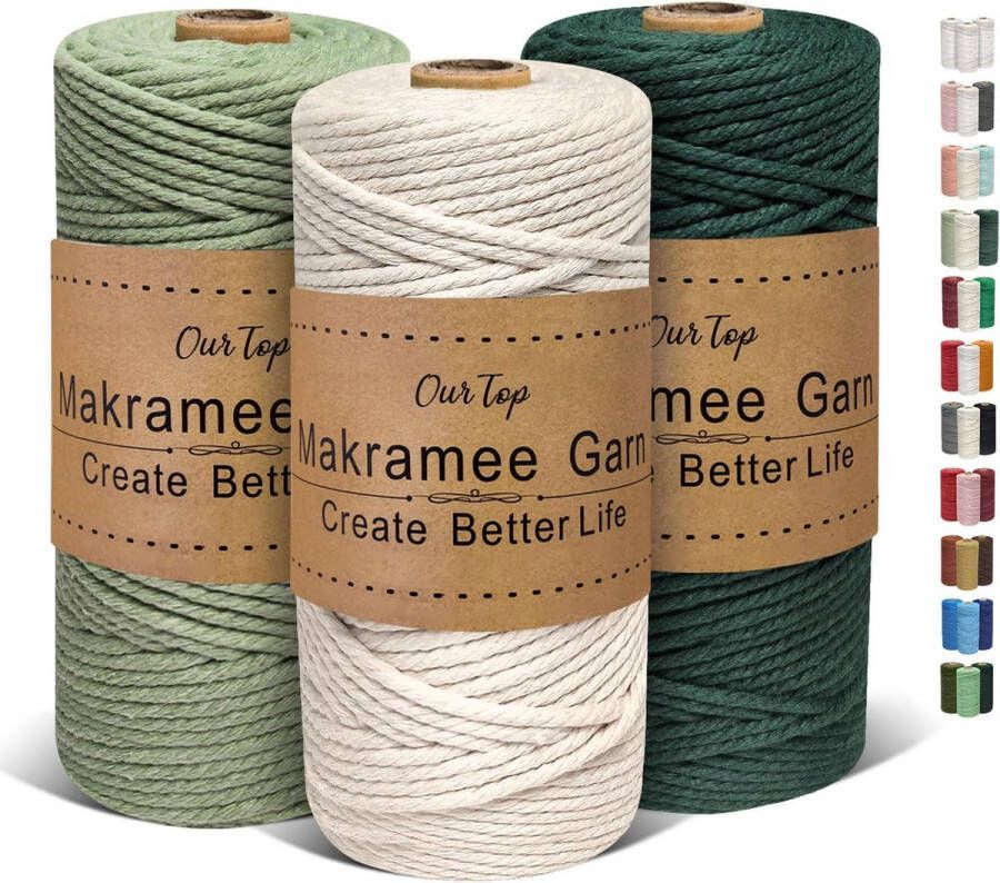 Premium Macrame-garenset van 3 mm x 100 m Macrame-koord garen voor doe-het-zelf handwerk weefdecoratie hangende plantenhanger (wit donkergroen lichtgroen)