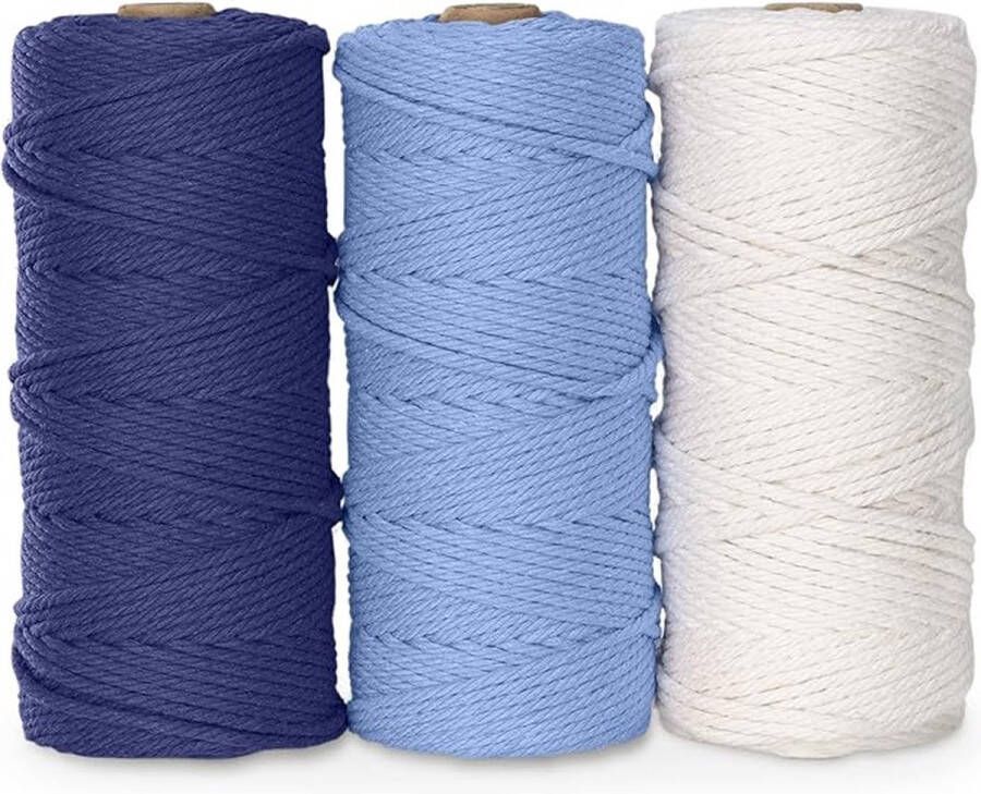 Premium macramégaren macramé koord garen voor doe-het-zelf handwerk 3mm x 100m 3