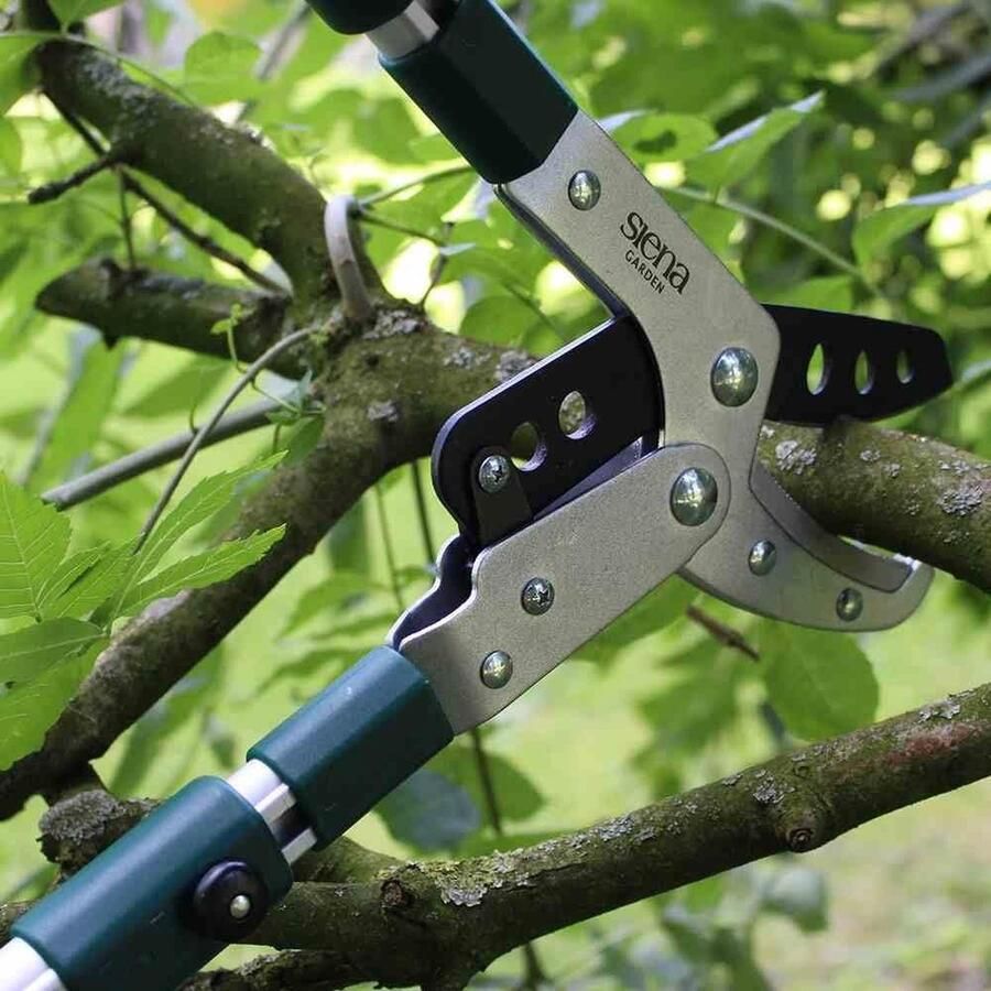 Pro aluminium takkenschaar telescopisch 358328 met verstelbare armen