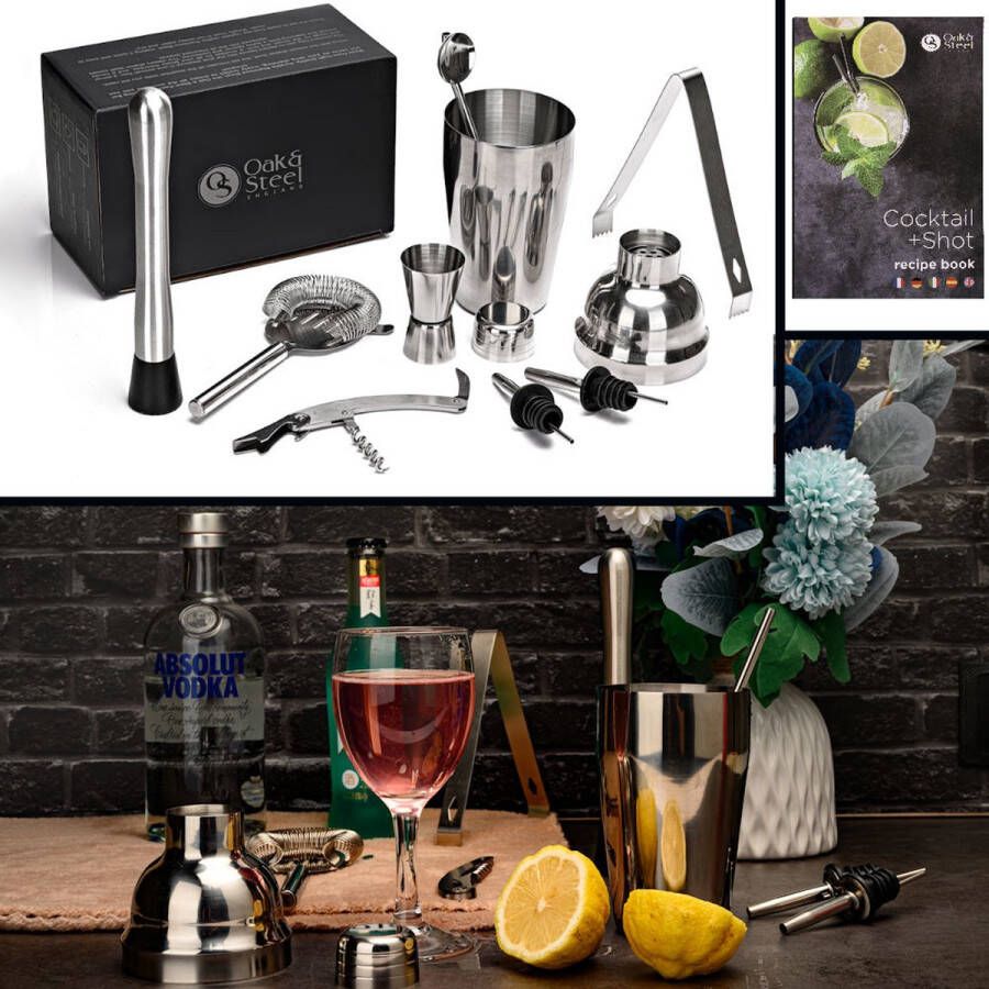 Merkloos Sans marque Decopatent PRO Cocktail Set 10-delig Rvs Barset met Shaker Maatbeker Stamper Zeef Mixer Cocktailshaker