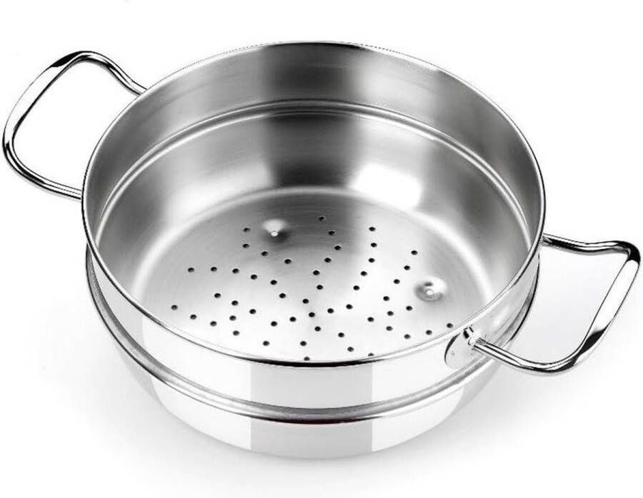 Professioneel RVS Vergiet 20 cm Zilver
