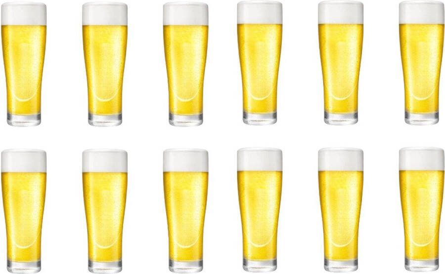 Professionele Bierglazen (12 stuks) 250ml Bierglas Bier Glas 25cl 0.25L Pils Glazen set Hoogwaardige Kwaliteit Vaasje Speciaal Bier Weizen