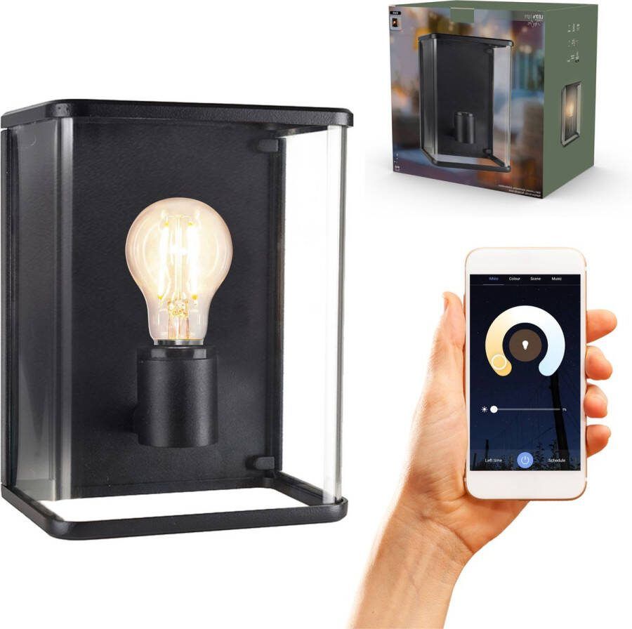 Proventa Slimme Wandlamp buiten Dimbaar Bedienbaar met App 1 x Glas Wandlamp