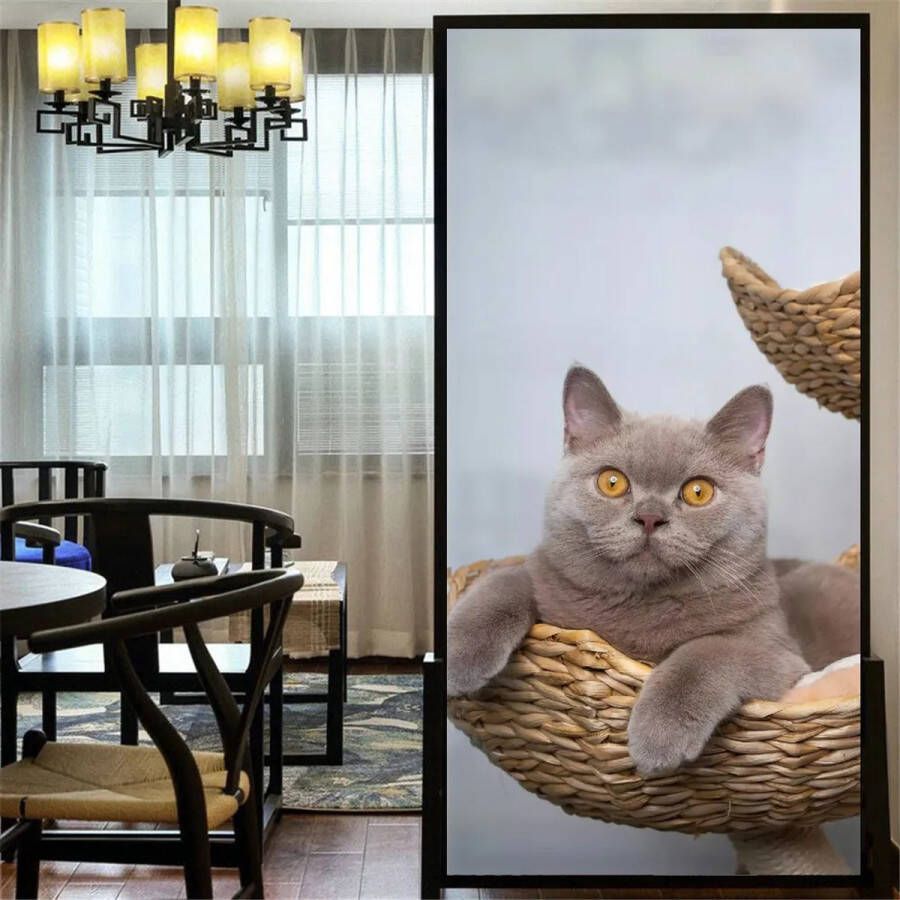 Raamfolie Brits korthaar poes kat 60 x 120 cm