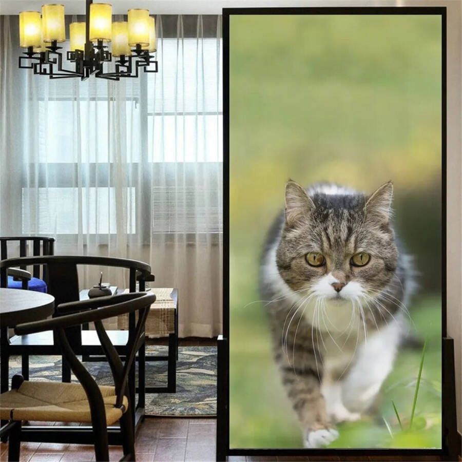 Raamfolie poes kat 60 x 120 cm