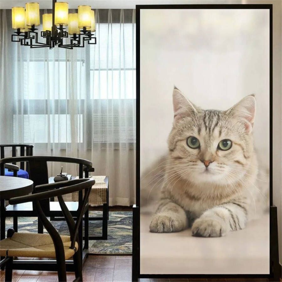 Raamfolie poes kat 60 x 120 cm