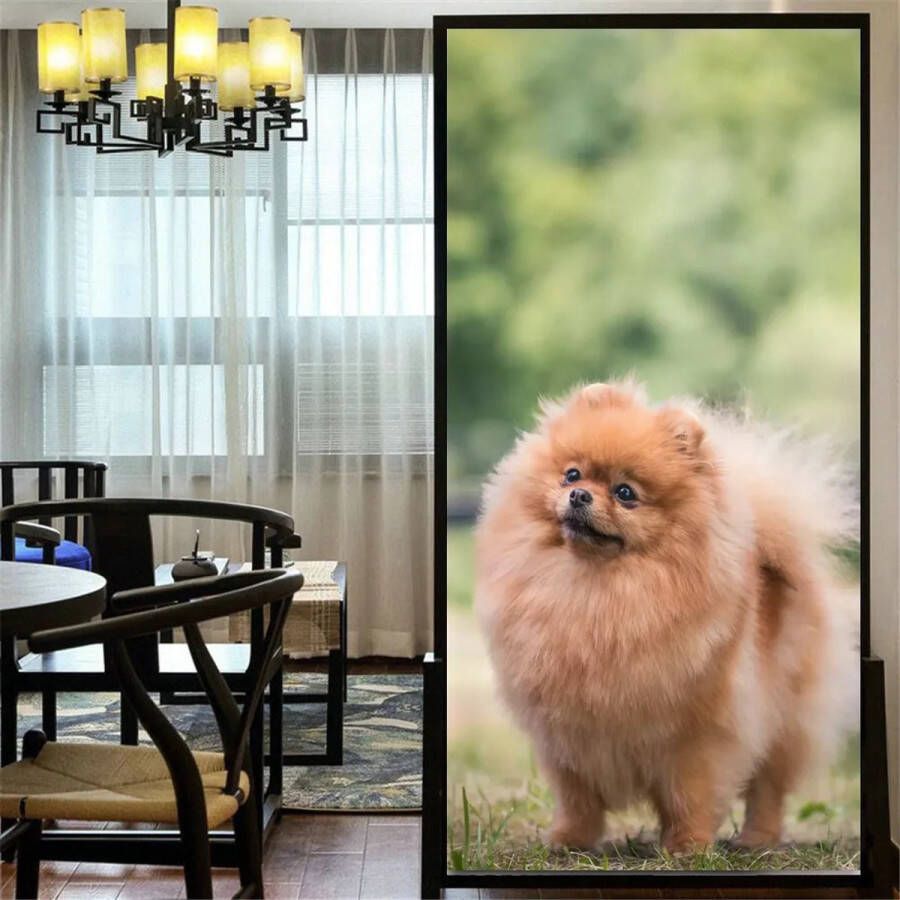 Raamfolie Pomeriaan Dwergkeeshond Pom Pommeren hond 60 x 120 cm