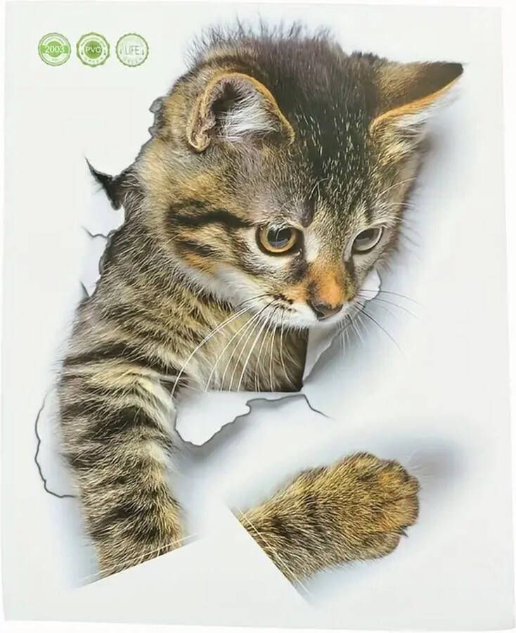 Raamsticker-Poes-Kat-31 5cm bij 17 5cm-3D sticker