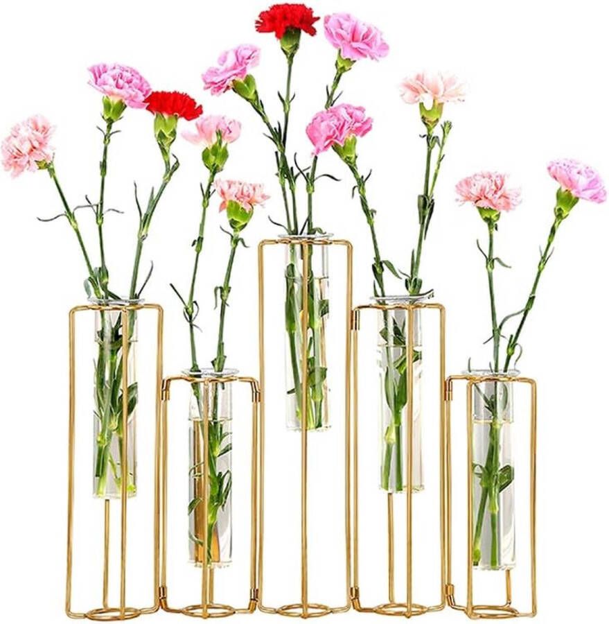 Reageerbuis bloemenvazen glazen reageerbuisjes met 5 reageerbuisjes inklapbare bloemenvazen goudkleurig metalen frame kan worden gebogen desktop-glazen plantenhouder Tubos De Ensayo voor hydrocultuur thuis