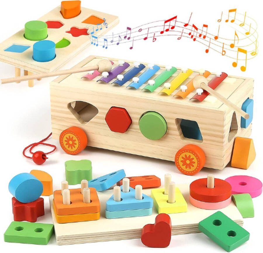 Regenboog Xylofoon 6in1 Montessori Speelgoed Houten Speelgoed Motoriekspeelgoed Bouwblokken Vormsorteerders 2 tot 5 Jaar Speelgoedinstrument