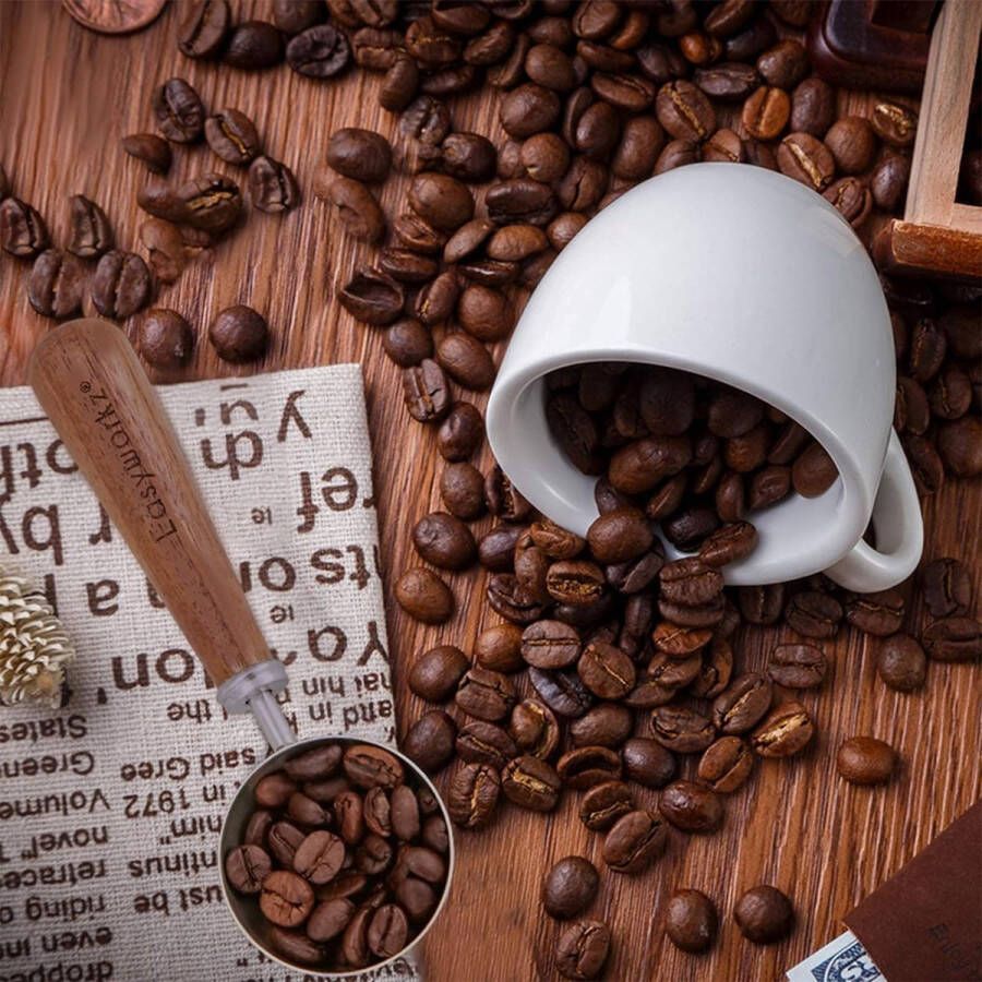 Retro koffielepel van roestvrij staal met zwart walnoten handvat 10 g maatlepel voor koffiebonen of thee zilver