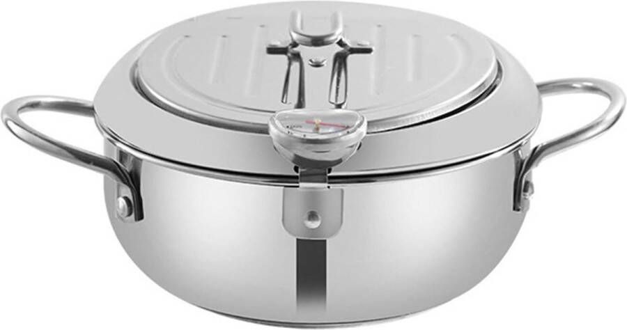 Roestvrij stalen mini friteuse pot met thermometer en olie druppelrek Perfect voor frites en gebakken kip