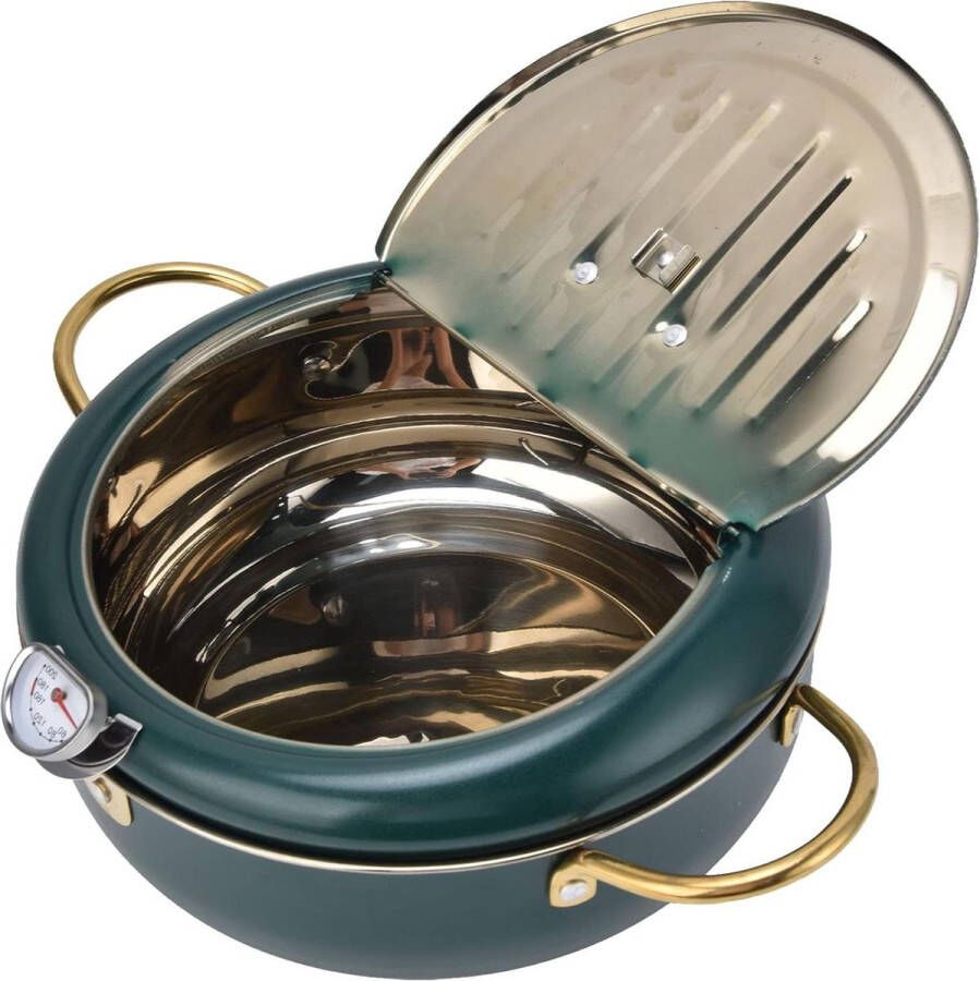 Roestvrijstalen Friteuse Tempura Temperatuurregelbare Mini-friteuse Met Thermometer En Deksel Voor Tempura-chips Vis En Kip Donkergroen