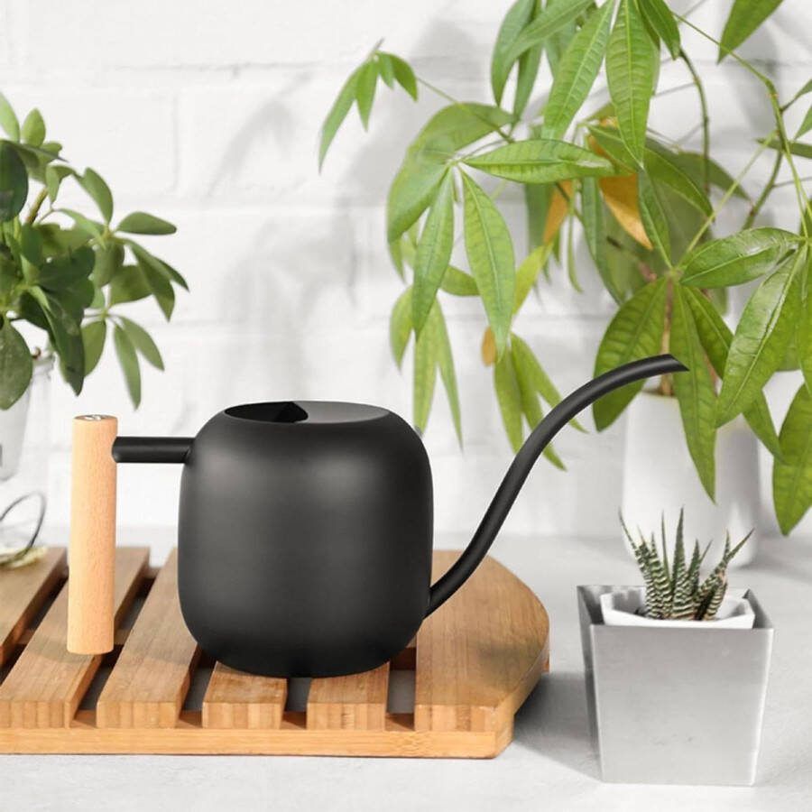 Roestvrijstalen gieter voor binnen 12 liter met houten handvat lange dunne schenktuit voor kamerplanten en vetplanten