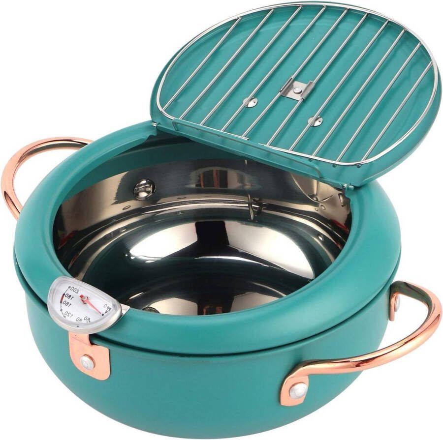 Roestvrijstalen Japanse friteuse pot met deksel en olie druppelrek Temppura frituurpot voor keuken koken 205 x 113 cm