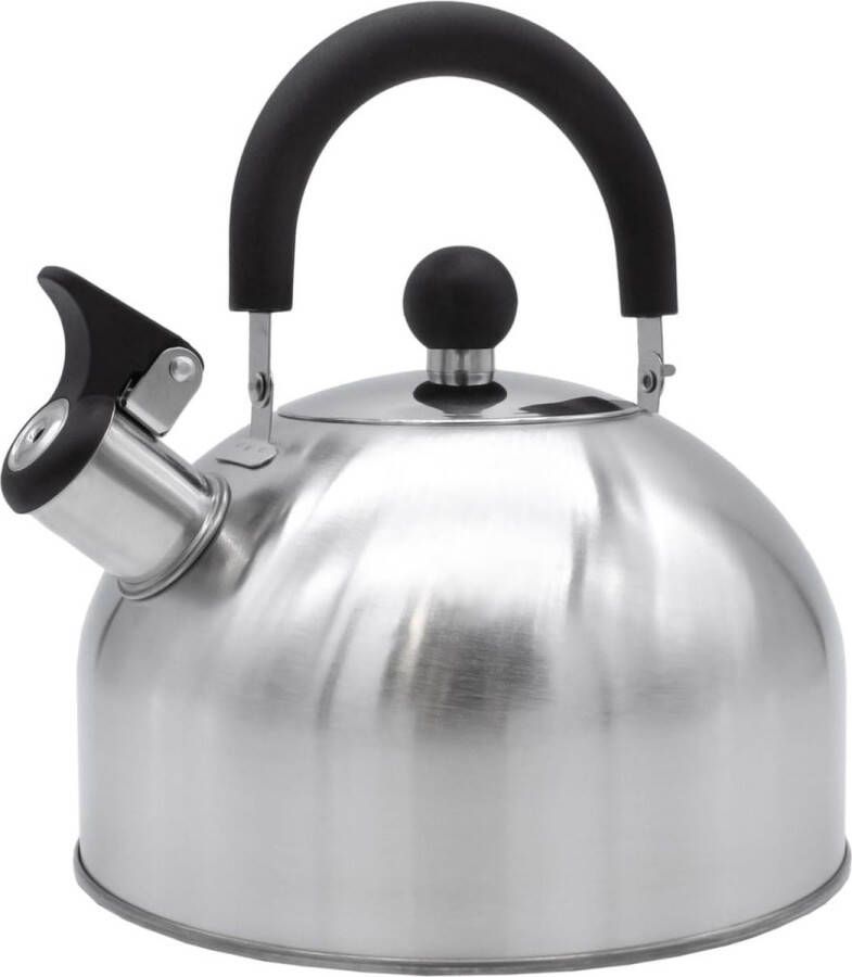 Roestvrijstalen waterketel zilver 2 5 liter fluitketel met deksel en handvat theeketel waterketel fluitketel